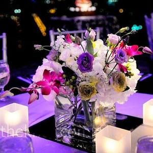 Meet your Posher, Brenda